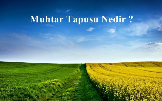 Muhtar tapusu nedir? Ne işe yarar? 4